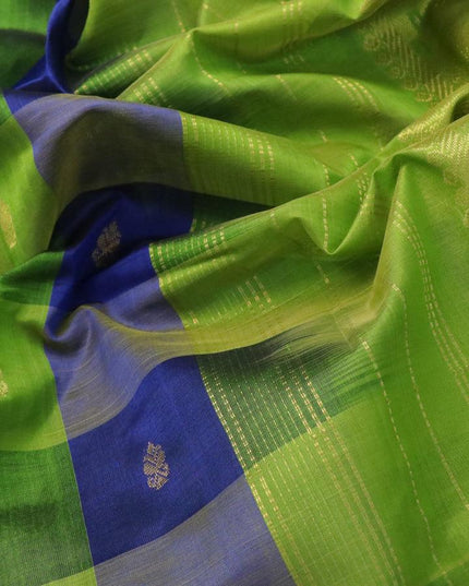 10 yards silk cotton saree blue and light green with paalum pazhamum checked pattern & zari buttas and annam zari woven border without blouse - {{ collection.title }} by Prashanti Sarees