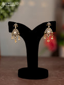 Victorian Finish Earrings