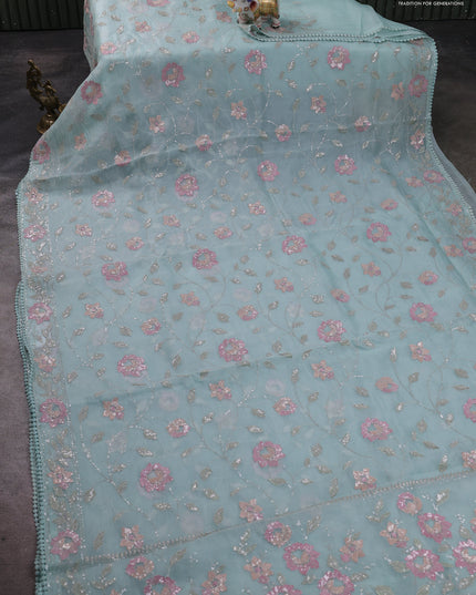 Pure organza silk saree pastel blue shade with allover embroidery sequin work and embroidery crocia lace work border