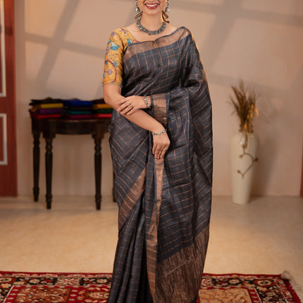 Collection image for: Tussar Silk with zari checks